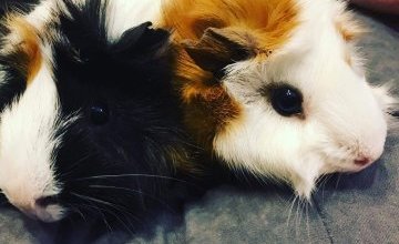 Zapraszamy do Kącika ucznia